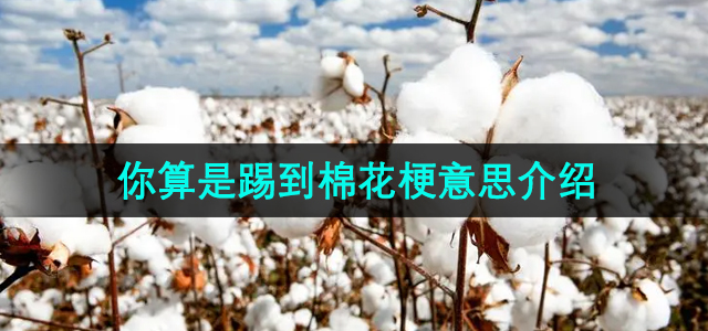 《抖音》热门梗“踢到棉花”含义深度解析