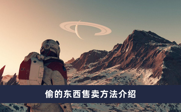 《星空奇珍异宝销售指南》