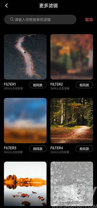 Dazz 相机 新手滤镜指南