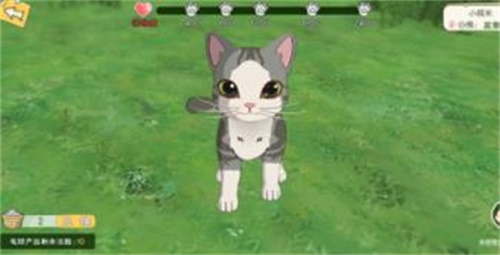 轻松掌握小森生活猫毛球处理技巧