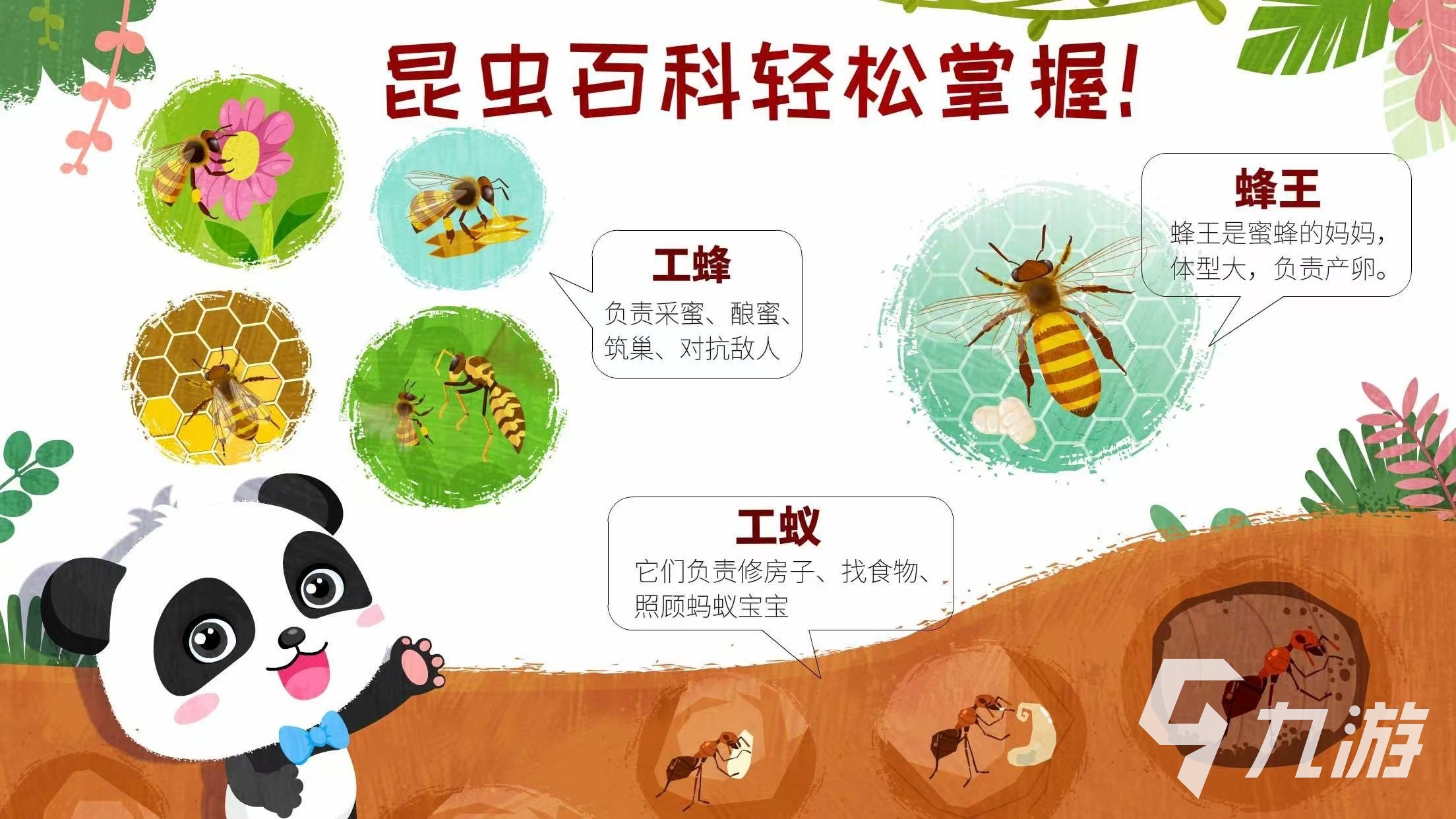 2024年度热门虫子游戏大盘点