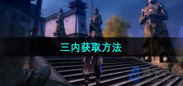 《秘籍探秘：九阴真经内功修炼之道》