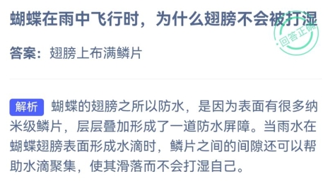 今日小鸡庄园挑战答案揭晓