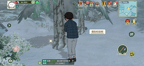 松纹木产品购买指南：小森生活松纹木选购全解析