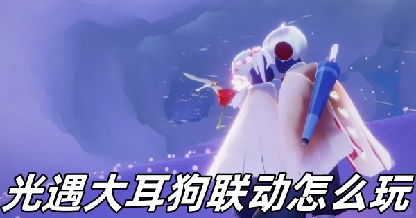 《光遇》大耳狗联动活动：玩法与内容深度解析