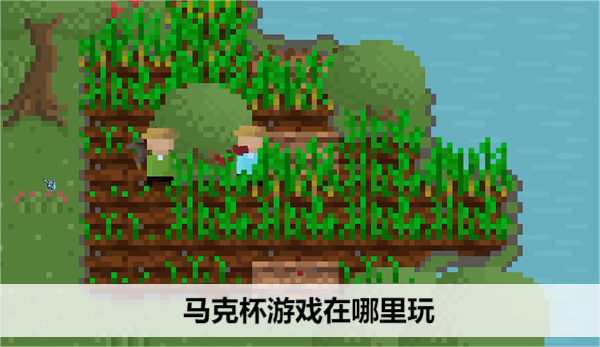 杯子世界探险