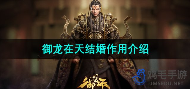 《探索《御龙在天》中的婚姻系统：功能与作用详解》