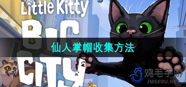 《都市萌宠生活：仙人掌帽的搜集技巧》