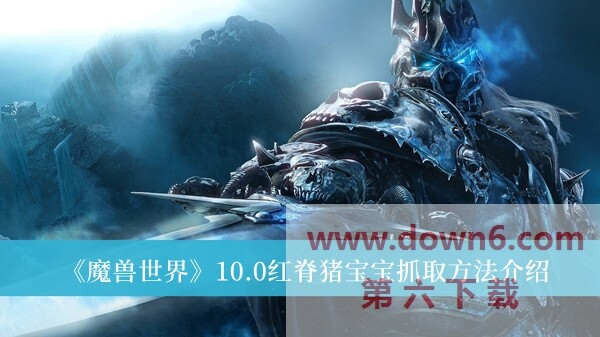 魔兽世界10.0红脊猪宝宝捕捉方法详解