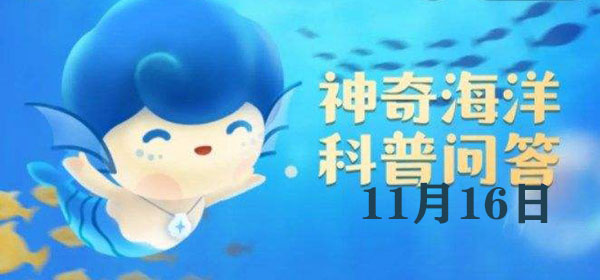 以下是哪一个省份我国红树林人工引种的最北端？