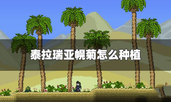 泰拉瑞亚获取幌菊的攻略与技巧