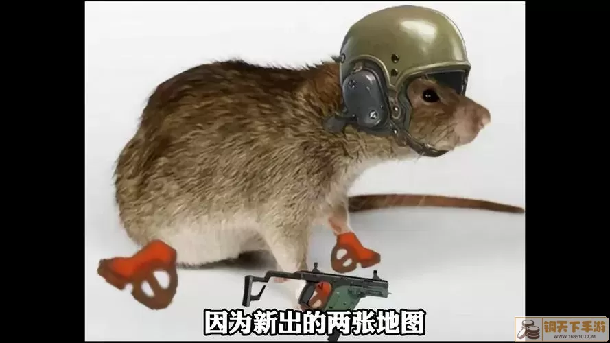 暗区突围 最强战衣指南：鼠套装实用策略